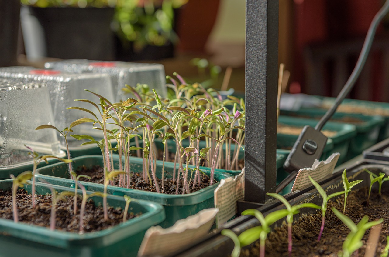 Comment choisir sa serre de jardin ?
